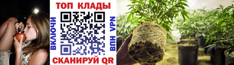 Где продают наркотики Калининец Alpha-PVP  Мефедрон  Конопля 