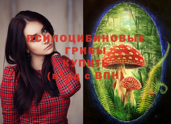 метадон Балахна