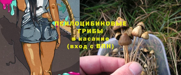 мяу мяу мука Баксан