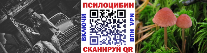 где купить   Калининец  Галлюциногенные грибы прущие грибы 